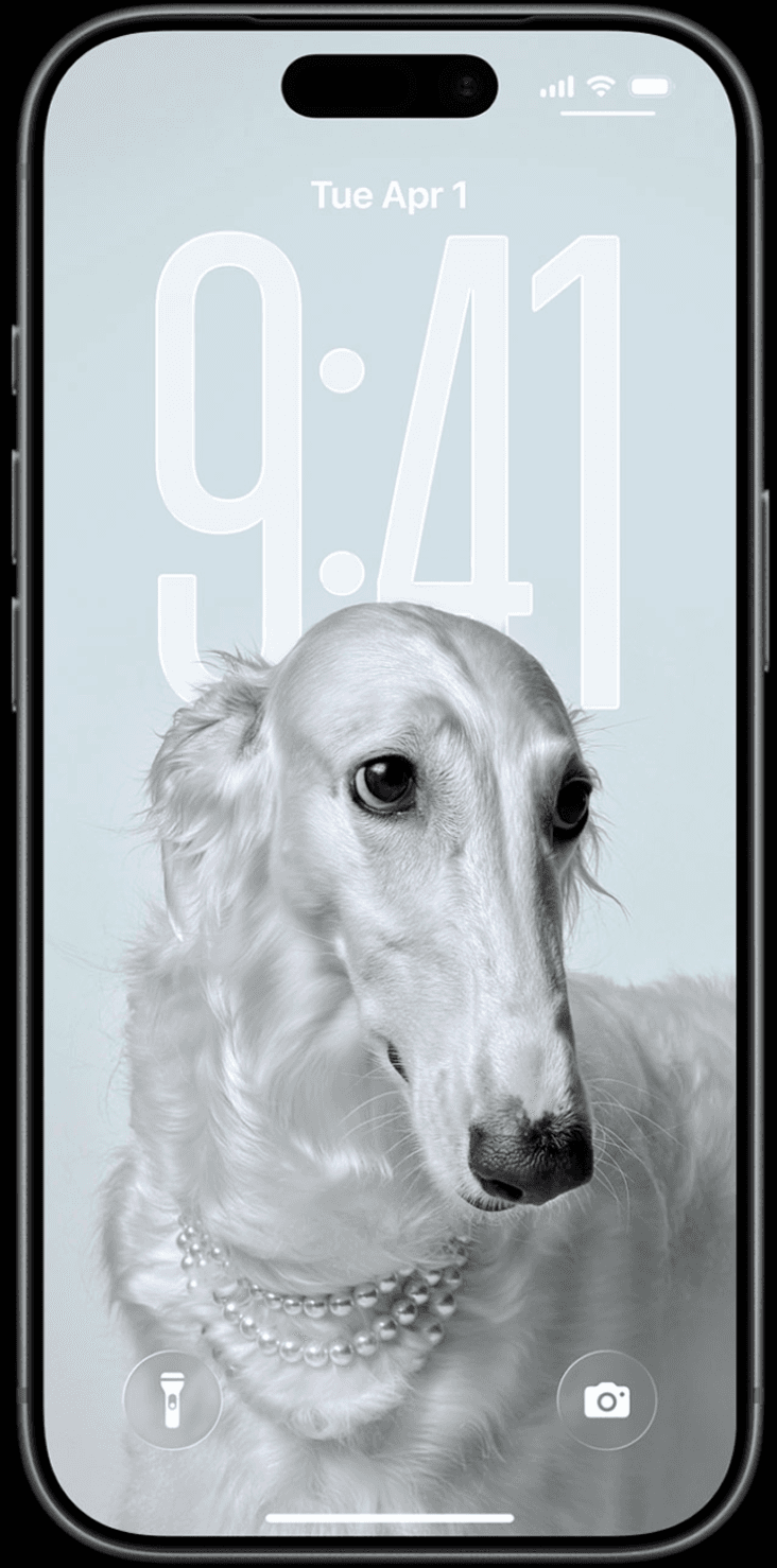 Bitoshi App Interface
